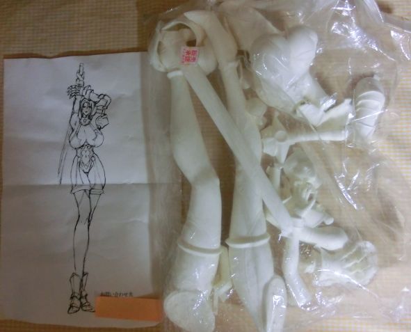 Ivy-SCII-1P_&-6_OrchidGarden_manual.jpg (35574 octets)